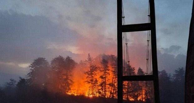 infocordillera.com.ar