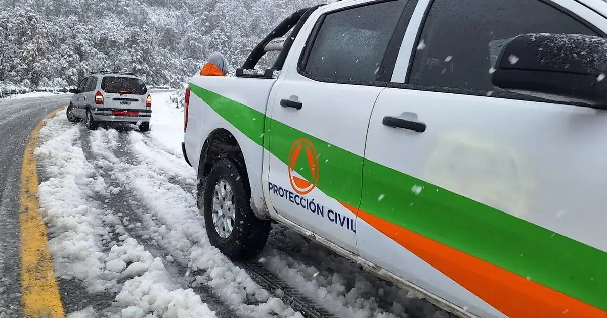 Alerta amarilla por fuertes nevadas y vientos en Río Negro: medidas ...