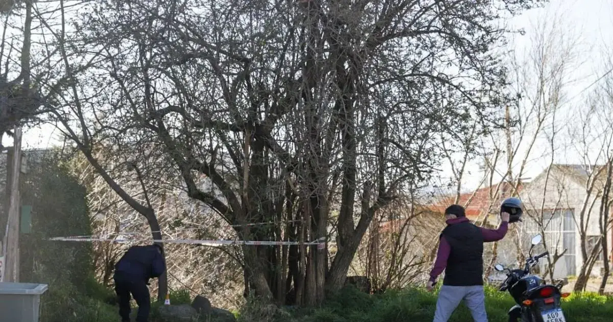 Trágico accidente en Bariloche: hombre fallece al caer de una escalera ...